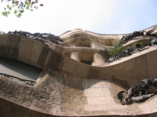 Spain: A close up.... its pretty wild