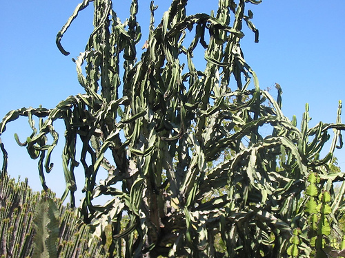 More cool and interesting shapes