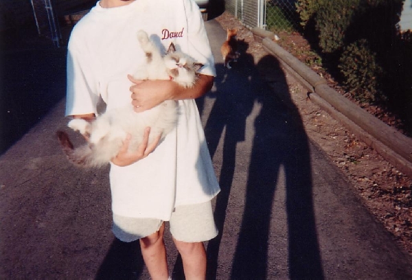 Good old Billy Idol Renne