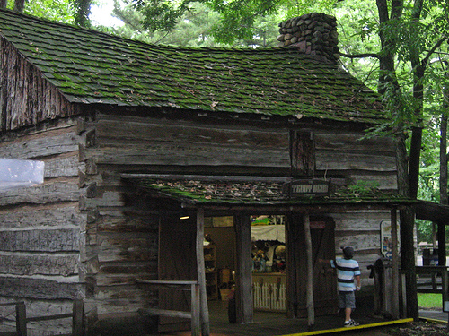 Sweet moss on a house