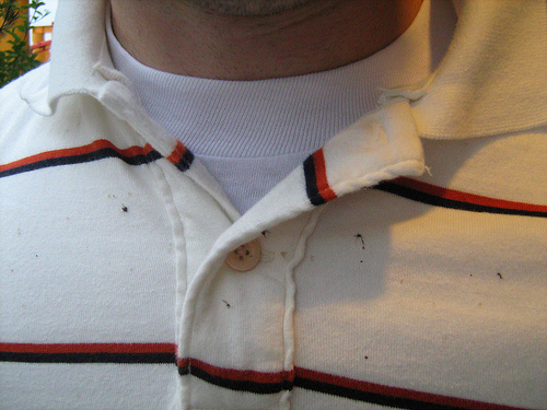 The sick bugs from the ride