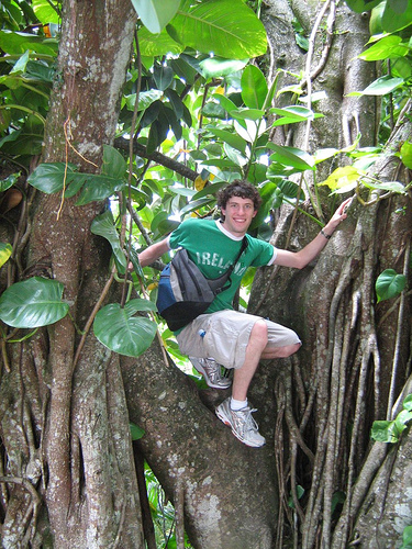 Honeymoon 083