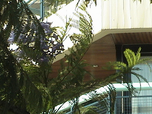 DSC00445