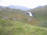 Scotland: Roy shot