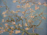 The Netherlands: The Van Gough Museum