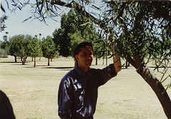 Dad and a Tree
