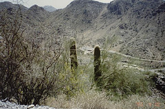 The hills we climbed