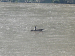 Yangtze River - Traditional Fisherman