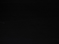 IMG_0299