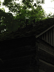 Sweet buildings