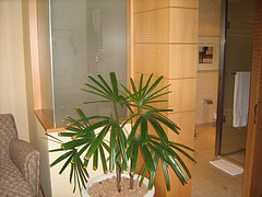 Honeymoon 004