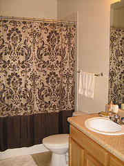 Main Bathroom Curtains